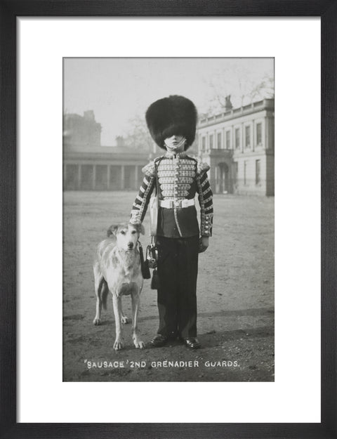 Sausage' the Grenadier Guards regimental mascot with a bugler