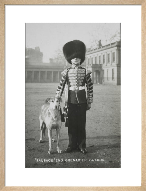 Sausage' the Grenadier Guards regimental mascot with a bugler