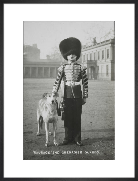 Sausage' the Grenadier Guards regimental mascot with a bugler