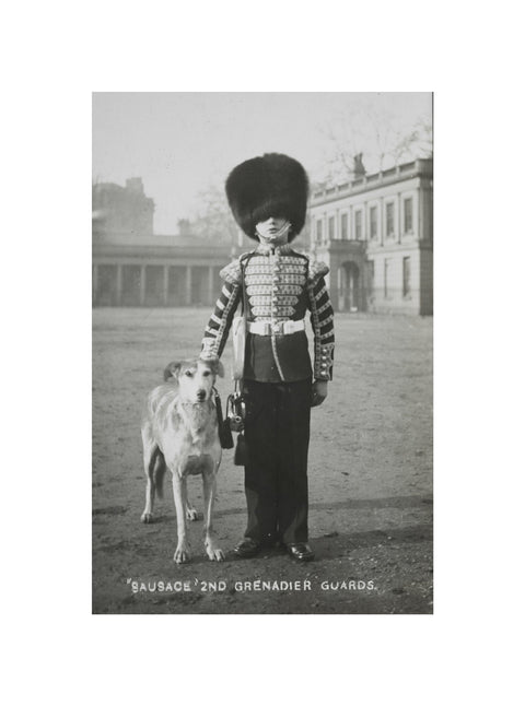 Sausage' the Grenadier Guards regimental mascot with a bugler