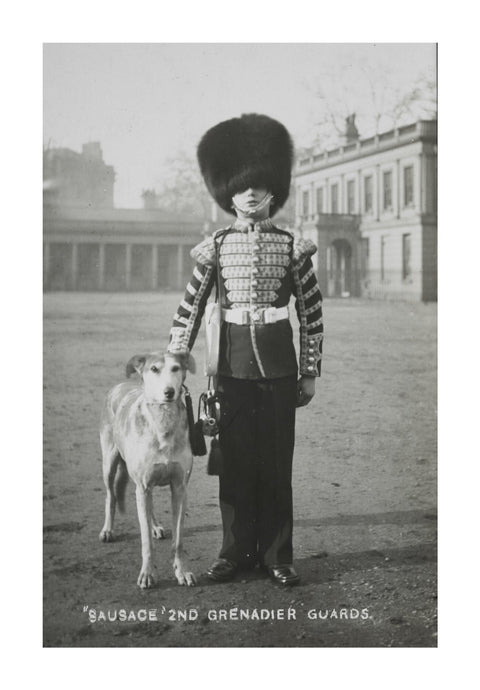Sausage' the Grenadier Guards regimental mascot with a bugler