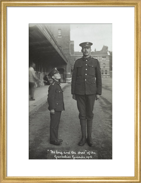 The Long and the Short of the Grenadier Guards