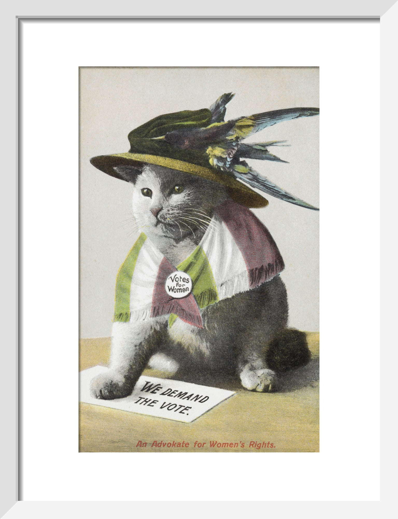 Advokate An Advokate for Women's Rights c.1909 – London Museum