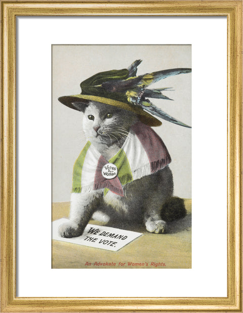 An Advokate for Women's Rights c.1909