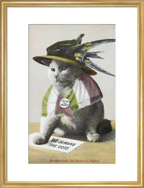An Advokate for Women's Rights c.1909