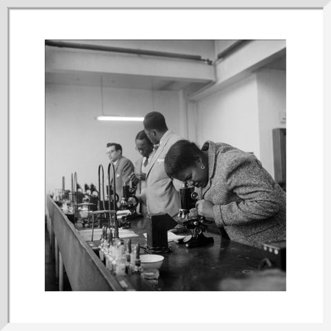 Sierra Leone students at the London School of Hygiene and Tropical Medicine 1950-1969