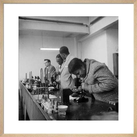 Sierra Leone students at the London School of Hygiene and Tropical Medicine 1950-1969
