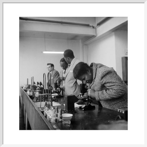 Sierra Leone students at the London School of Hygiene and Tropical Medicine 1950-1969