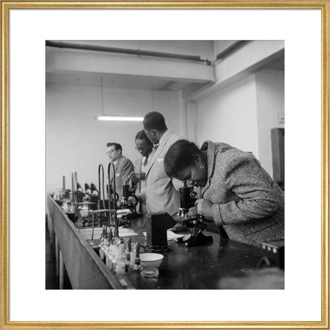 Sierra Leone students at the London School of Hygiene and Tropical Medicine 1950-1969