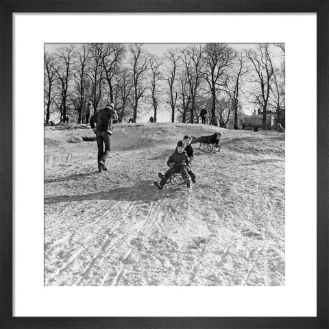 Boys on a toboggan, Hampstead Heath