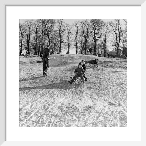 Boys on a toboggan, Hampstead Heath