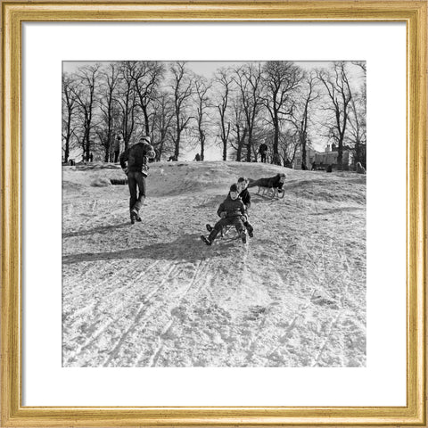 Boys on a toboggan, Hampstead Heath
