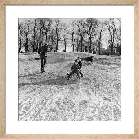 Boys on a toboggan, Hampstead Heath