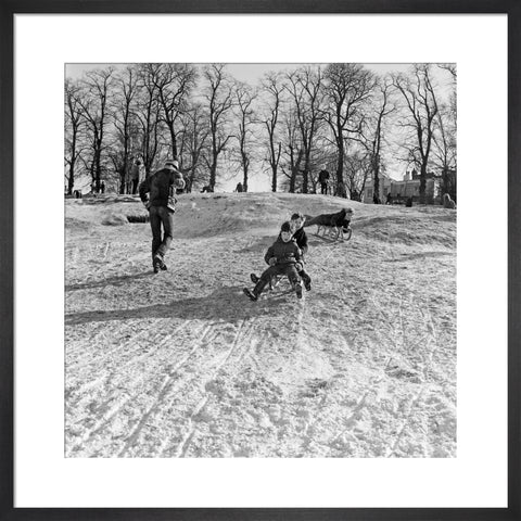 Boys on a toboggan, Hampstead Heath