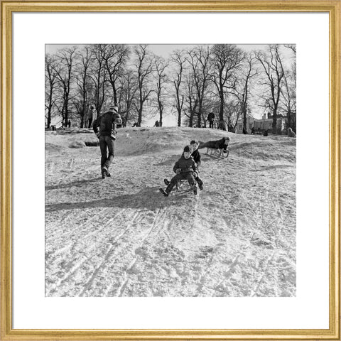 Boys on a toboggan, Hampstead Heath