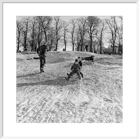 Boys on a toboggan, Hampstead Heath