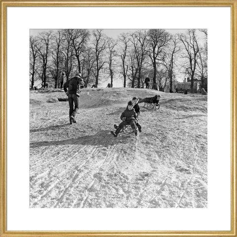 Boys on a toboggan, Hampstead Heath