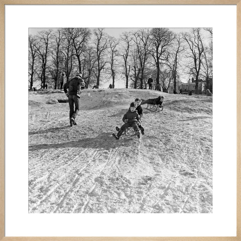 Boys on a toboggan, Hampstead Heath