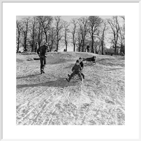 Boys on a toboggan, Hampstead Heath