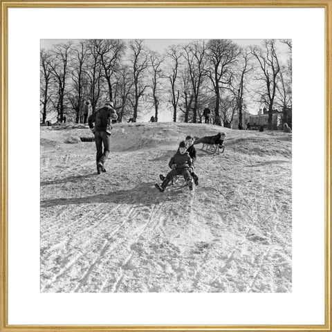Boys on a toboggan, Hampstead Heath