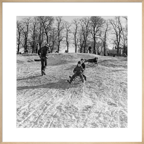 Boys on a toboggan, Hampstead Heath