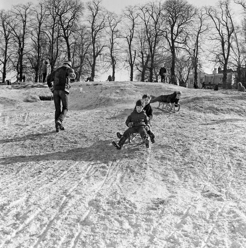 Boys on a toboggan, Hampstead Heath