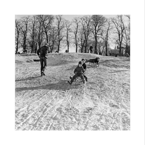 Boys on a toboggan, Hampstead Heath