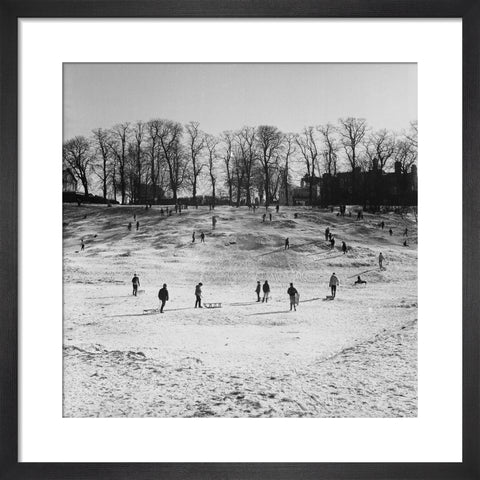 Sledging on Hampstead Heath