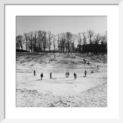 Sledging on Hampstead Heath