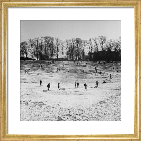 Sledging on Hampstead Heath