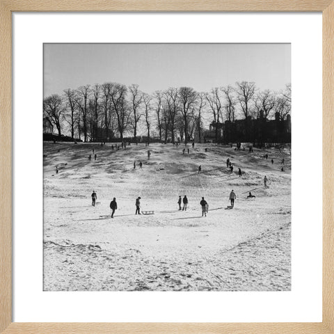 Sledging on Hampstead Heath