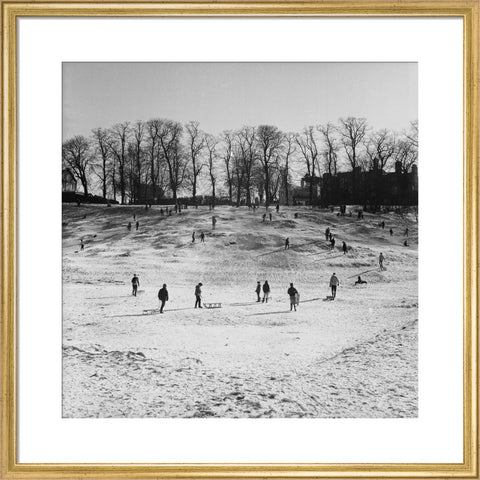 Sledging on Hampstead Heath