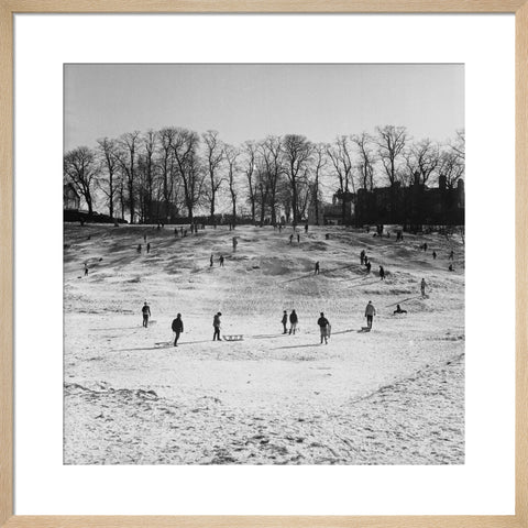 Sledging on Hampstead Heath