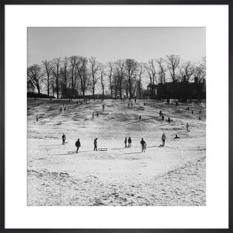 Sledging on Hampstead Heath