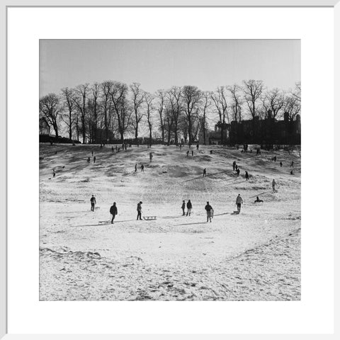 Sledging on Hampstead Heath