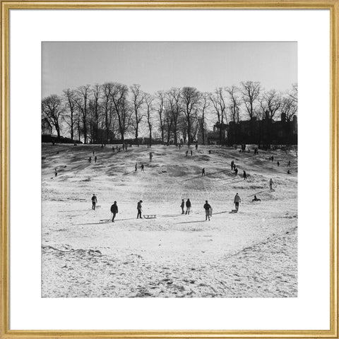 Sledging on Hampstead Heath