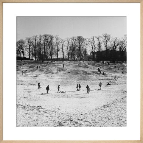 Sledging on Hampstead Heath