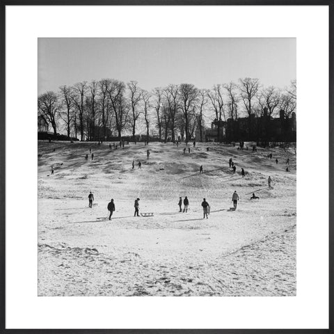 Sledging on Hampstead Heath