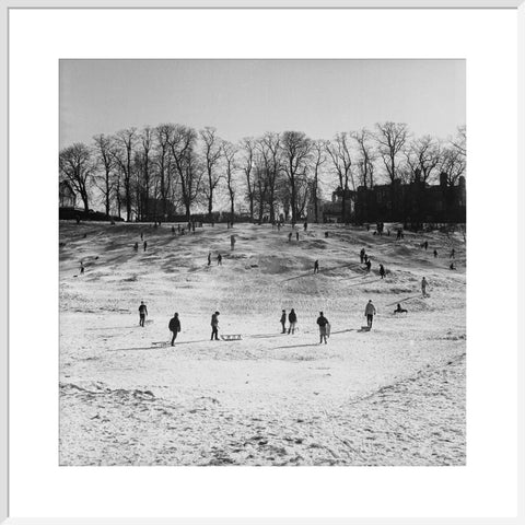 Sledging on Hampstead Heath