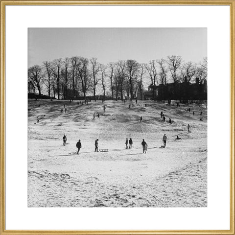 Sledging on Hampstead Heath