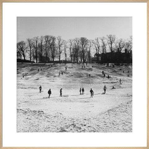 Sledging on Hampstead Heath