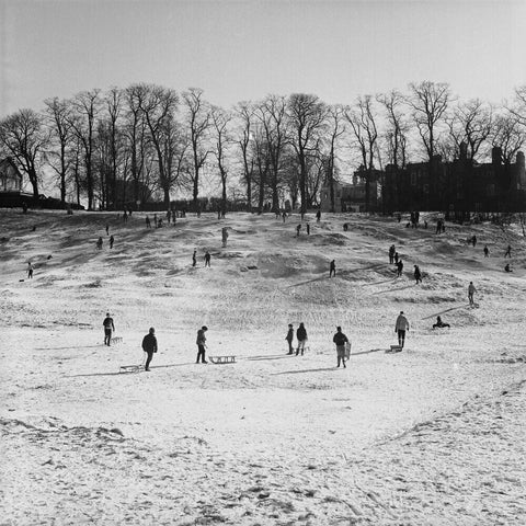 Sledging on Hampstead Heath
