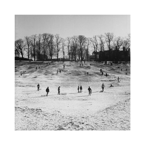 Sledging on Hampstead Heath