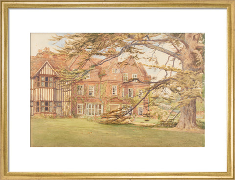 Cedar House, Hillingdon, 1902 (Art print, Medium, Gold)