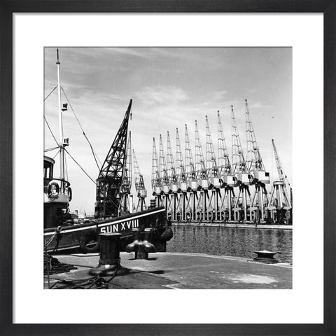 Cranes West India Dock 1962