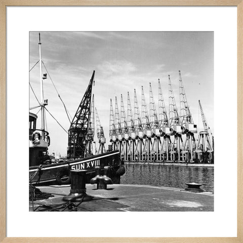 Cranes West India Dock 1962