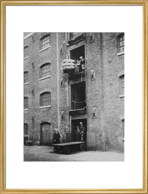 West India Docks 1900 Sugar being hoisted into warehouses