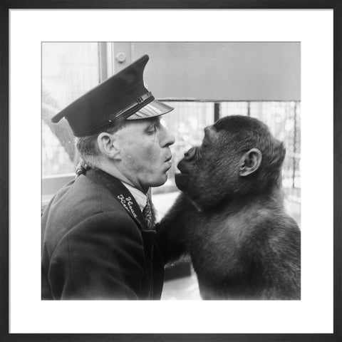 At London Zoo in Regent's Park 1950s