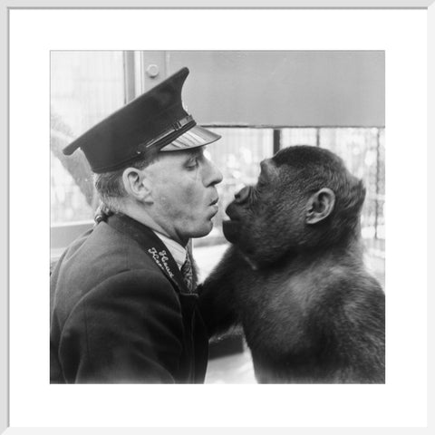 At London Zoo in Regent's Park 1950s