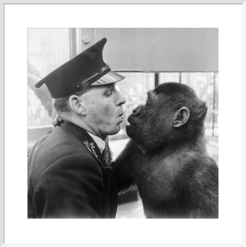 At London Zoo in Regent's Park 1950s